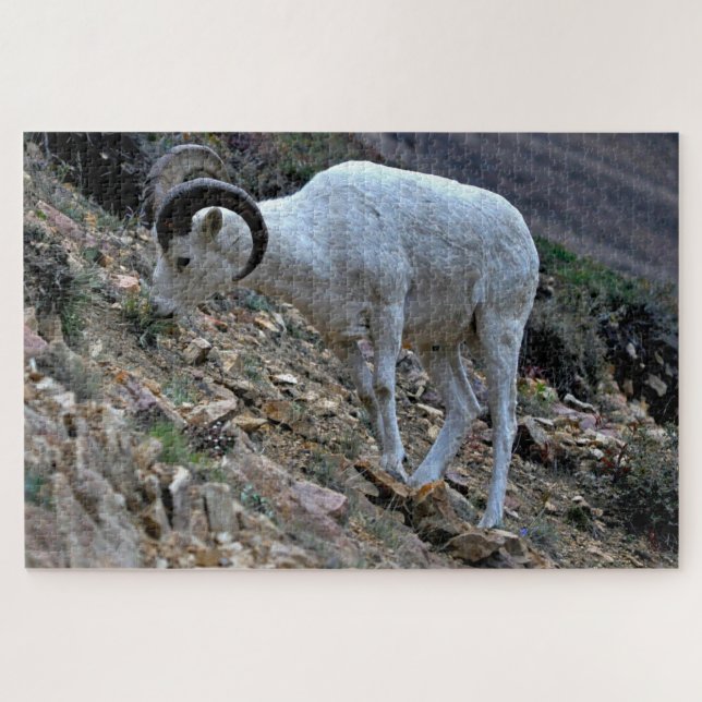 Dall Sheep on a Hillside Jigsaw Puzzle (Horizontal)