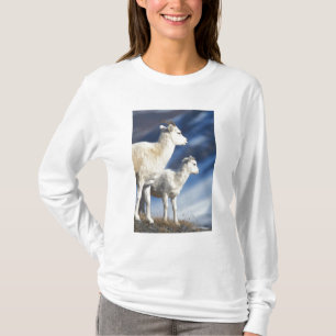 dall sheep, Ovis dalli, ewe and lamb T-Shirt