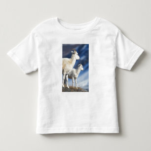 dall sheep, Ovis dalli, ewe and lamb Toddler T-Shirt