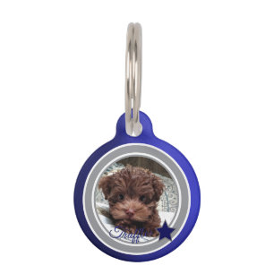 Dallas Dog Fan  Customisable Pet ID Ta Tag