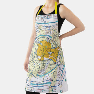 Dallas Ft. Worth Flyway Chart Apron