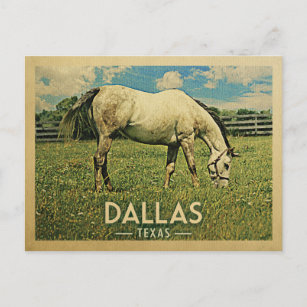 Dallas Texas Horse Farm -Vintage Travel Postcard