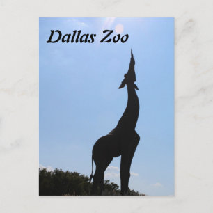 Dallas Zoo Postcard