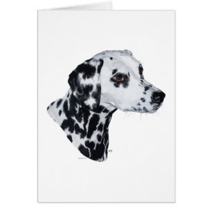 Dalmatian