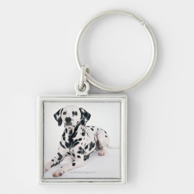 Dalmatian 4 key ring (Front)