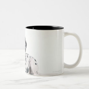 Dalmatian 4 Two-Tone coffee mug