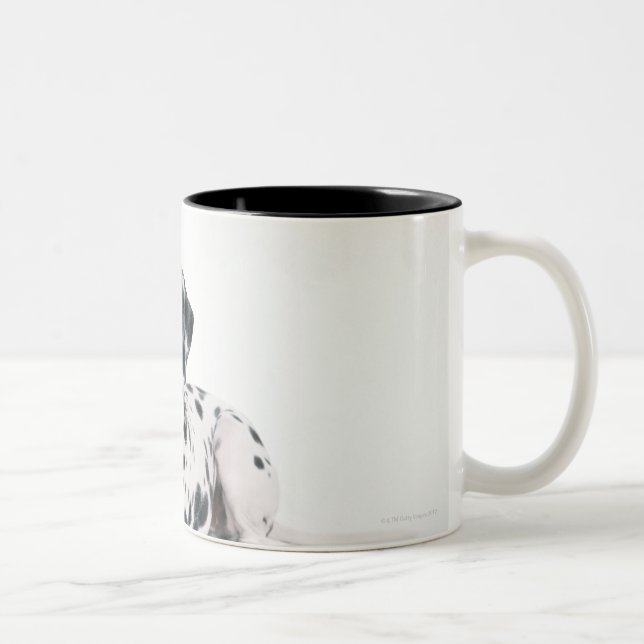 Dalmatian 4 Two-Tone coffee mug (Right)