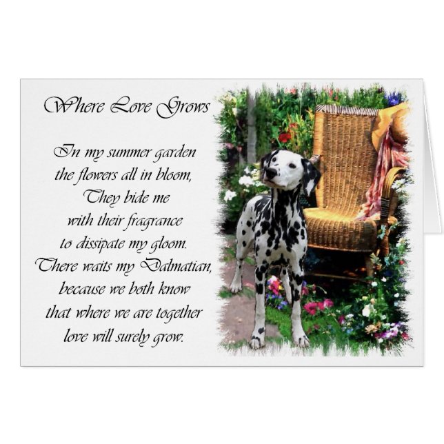 Dalmatian Art Gifts (Front Horizontal)