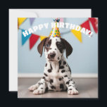 Dalmatian Birthday Party Card<br><div class="desc">Funny Dalmatian birthday card for any age . It can also be for any other celebration. Text on front & reverse sides can be changed.</div>