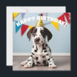 Dalmatian Birthday Party Card<br><div class="desc">Funny Dalmatian birthday card for any age . It can also be for any other celebration. Text on front & reverse sides can be changed.</div>