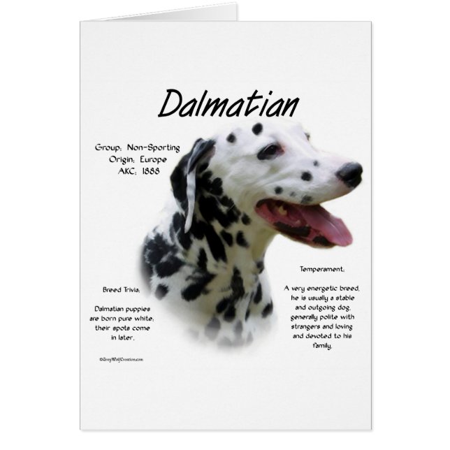 Dalmatian (blk) History Design (Front)