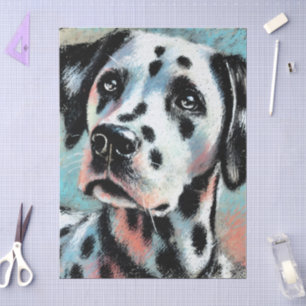 Dalmatian Chalk Pastel Dog Black White Decoupage  Tissue Paper