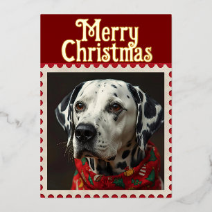 Dalmatian christmas foil holiday card