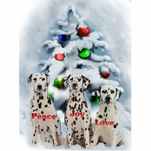 Dalmatian Christmas Gifts Photo Sculpture Decoration