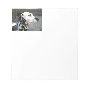 Dalmatian - Cindy's Reina Notepad