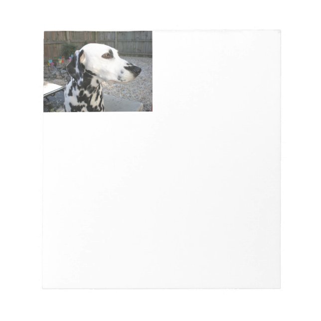 Dalmatian - Cindy's Reina Notepad (Front)
