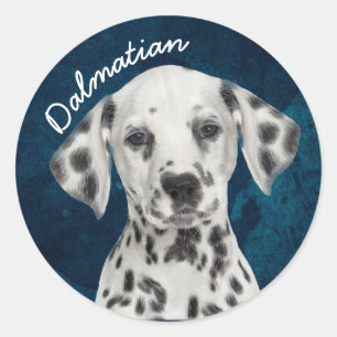 Dalmatian Classic Round Sticker
