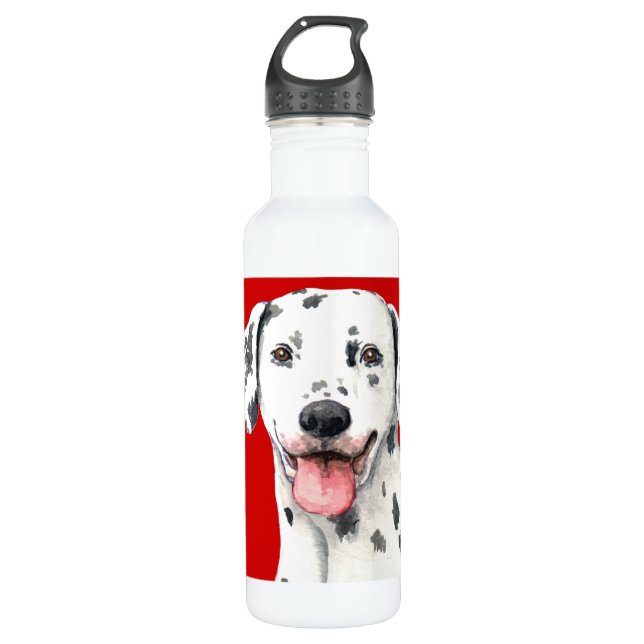 Dalmatian Colour Block 710 Ml Water Bottle (Front)