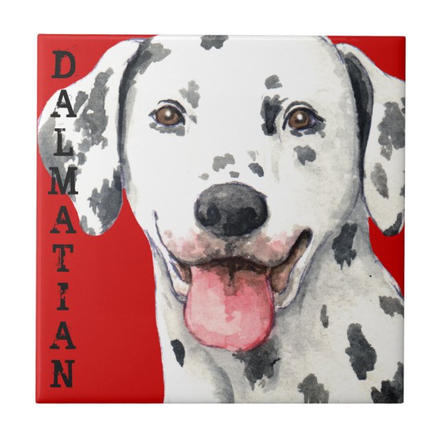 Dalmatian Colour Block Tile (Front)