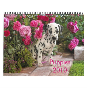 dalmatian-Cover, Puppies2010 Calendar