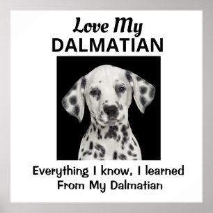 Dalmatian Custom Poster