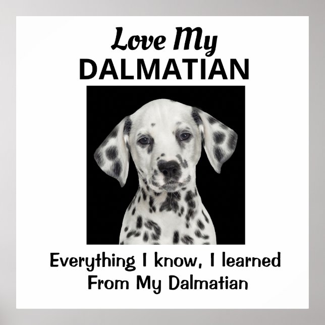Dalmatian Custom Poster (Front)