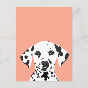 Dalmatian - Cute Dog Illustration for Dog Lover Postcard
