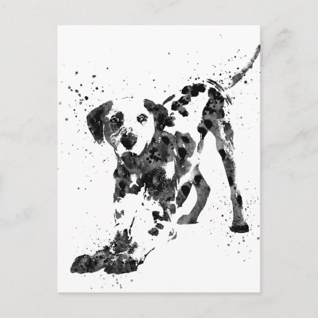 Dalmatian, Dalmatian dog, watercolor Dalmatian Postcard (Front)