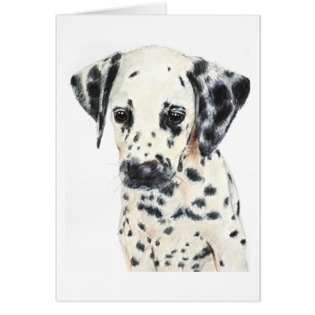 Dalmatian Dog Art (Front)