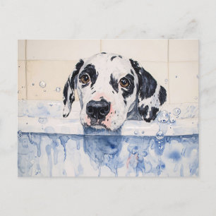 Dalmatian Dog Bath Time Painting Postcard