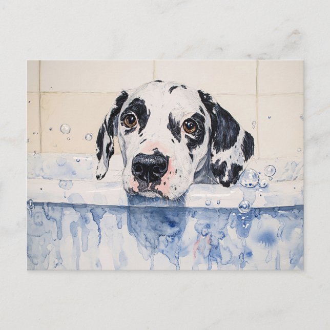 Dalmatian Dog Bath Time Painting Postcard (Front)