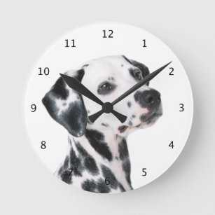 Dalmatian dog beautiful photo round clock