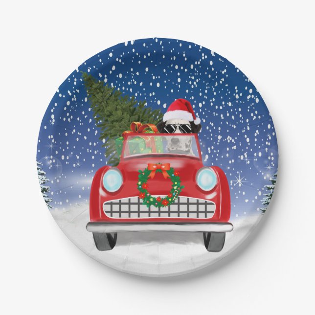 Dalmatian Dog Driving Car In Snow Christmas  Paper Plate (Front)