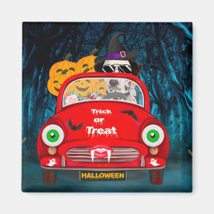 Dalmatian Dog Driving Car Scary Halloween Magnet
