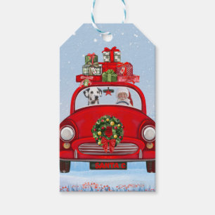 Dalmatian Dog In Car With Santa Claus Gift Tags