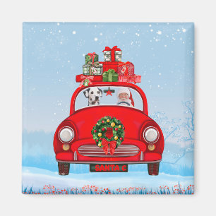 Dalmatian Dog In Car With Santa Claus Magnet