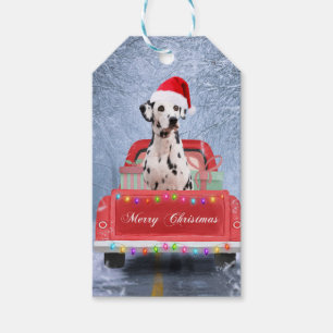 Dalmatian Dog in Snow sitting in Christmas  Gift Tags