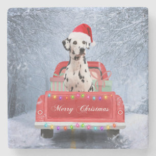 Dalmatian Dog in Snow sitting in Christmas Truck  Stone Coaster