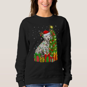 Dalmatian Dog Lighting Xmas Tree Santa Dalmatian C Sweatshirt