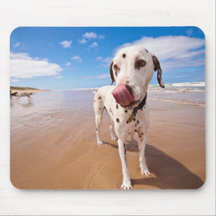 Dalmatian Dog On Beach Mouse Mat