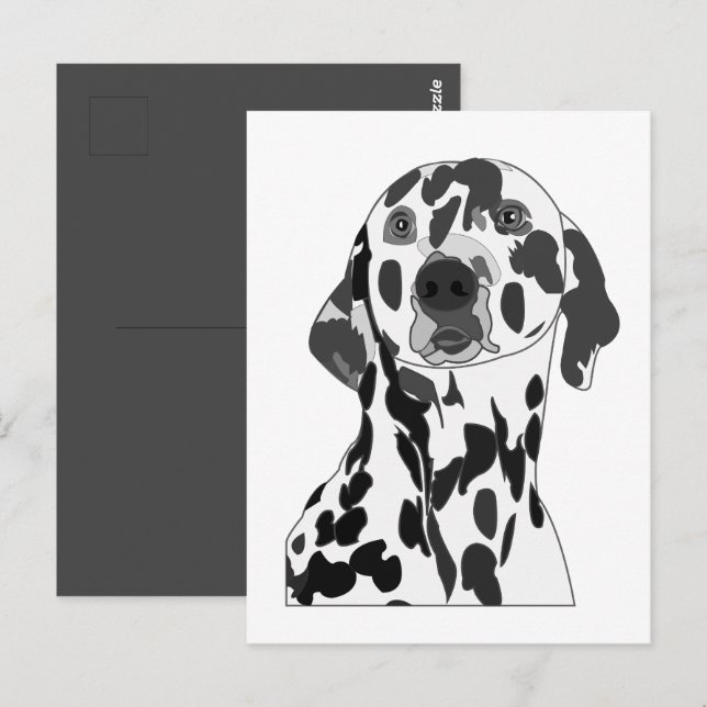 Dalmatian Dog  Postcard (Front/Back)