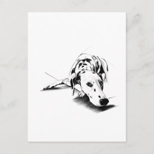 Dalmatian Dog Postcard – Hand Drawn