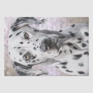 Dalmatian Dog Tissue Paper