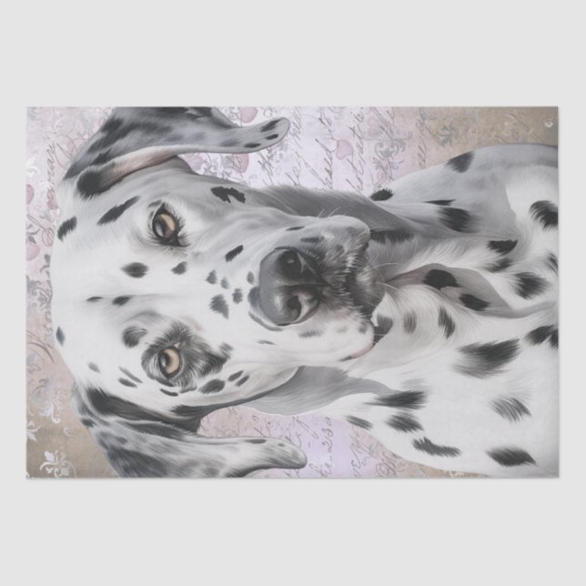 Dalmatian Dog Tissue Paper (Front)