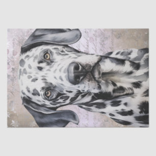 Dalmatian Dog Tissue Paper