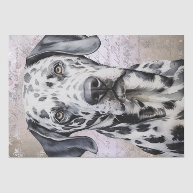 Dalmatian Dog Tissue Paper (Front)
