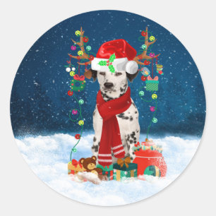 Dalmatian dog with Christmas gifts  Classic Round Sticker