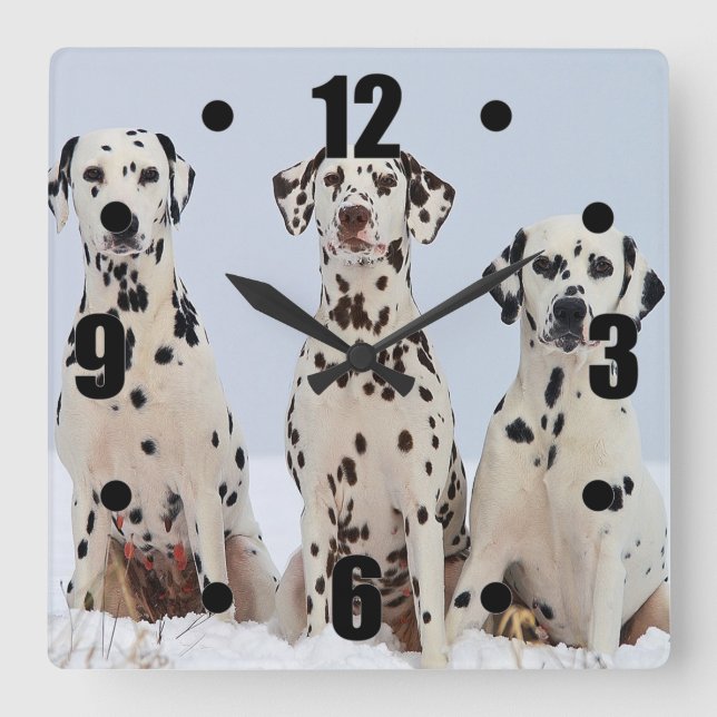 Dalmatian Family Portrait Square Wall Clock (Front)