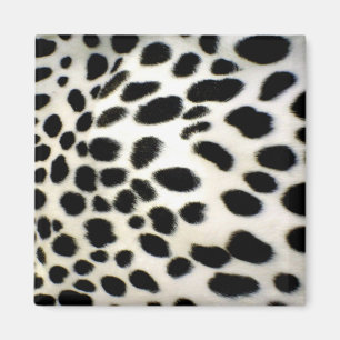 Dalmatian Fur Customise Texture Black and White Magnet