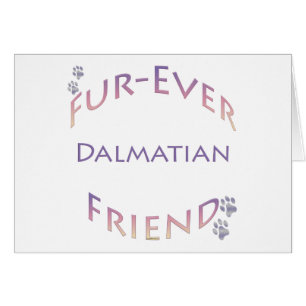 Dalmatian Furever